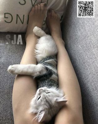 八戒八戒免费观看完整版_剧情片免费观看韩国